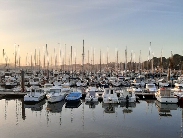 Un puerto deportivo con varias embarcaciones amarradas al muelle.