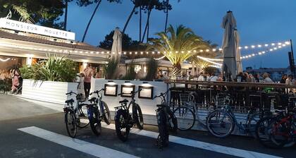 Appartement en Ville, Classé 3 Étoiles par le CDT des Landes