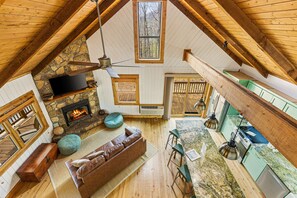 Télévision, cheminée, jeux vidéo