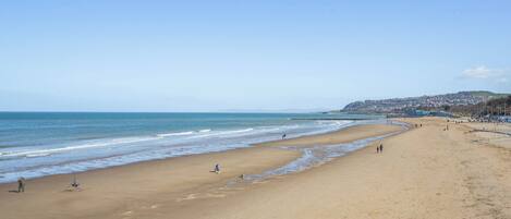 صيد الأسماك