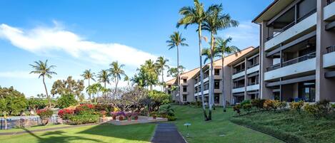 Terrain de lâhĂ©bergement