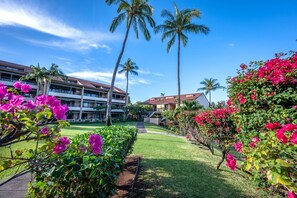 Property grounds - KBM Resorts | FREE CAR | Kaanapali Royal | Ocean view | Stunning Remodeled 2-Bedroom Villa at Kaanapali Royal! KRO-L201 (Lahaina)