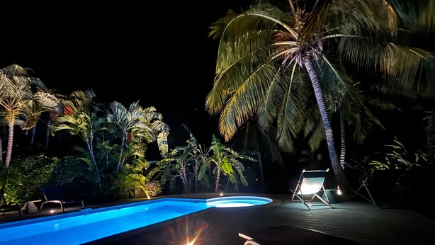 A nighttime pool area with lounge chairs and palm trees.