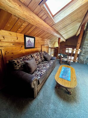 Fernseher, Kamin, DVD-Player, Arbeitsbereiche