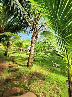 Jardines del alojamiento