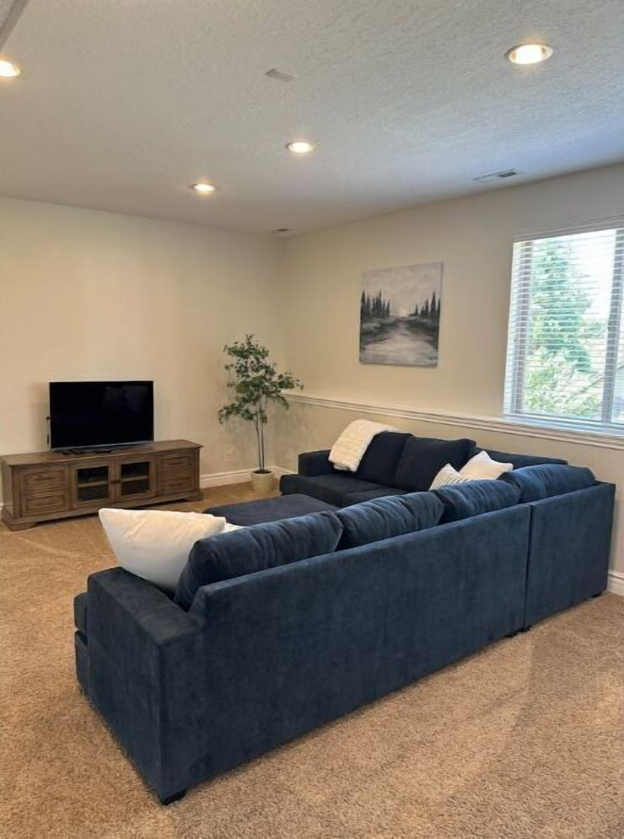 Smart TV, DVD player, video library