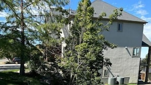 A residential property with a well-maintained lawn, a tree, and a modern house with a grey exterior.