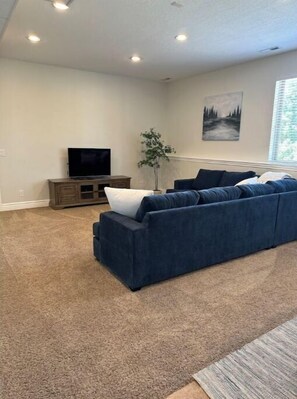 Smart TV, DVD player, video library