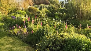 Une maison à toit de chaume, entourée d’un jardin luxuriant où poussent différentes espèces de plantes à fleurs.
