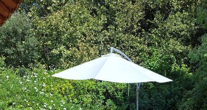 Casa de Campo Inserida Numa Quinta a 5 Minutos do Centro da Vila