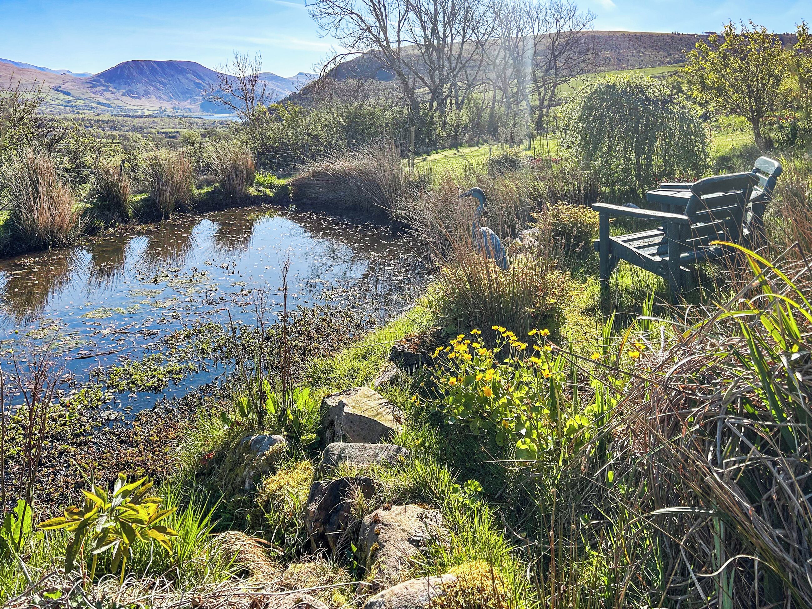 Terrain de l’hébergement 