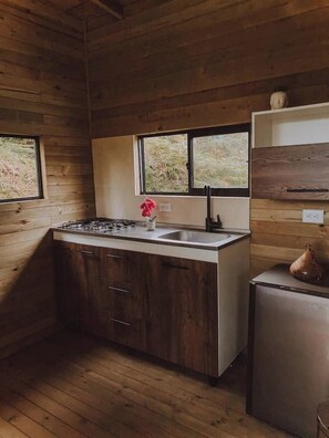 Kühlschrank, Mikrowelle, Herdplatte, Wasserkocher mit Kaffee-/Teezubehör