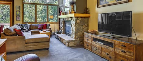 TV, fireplace, DVD player, books