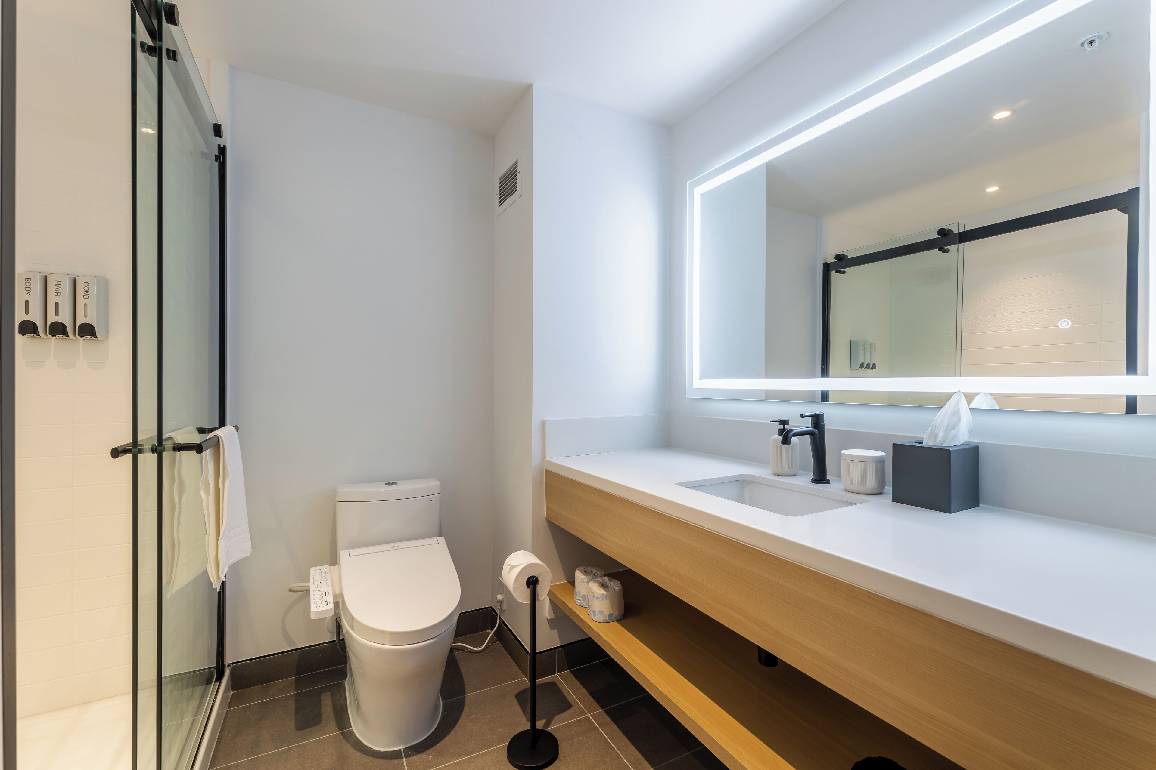 A modern bathroom with a glass shower enclosure, a toilet, a sink with a mirror, and a towel rack.