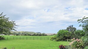 A rural landscape with a stone wall, a flower pot, and a fenced field.