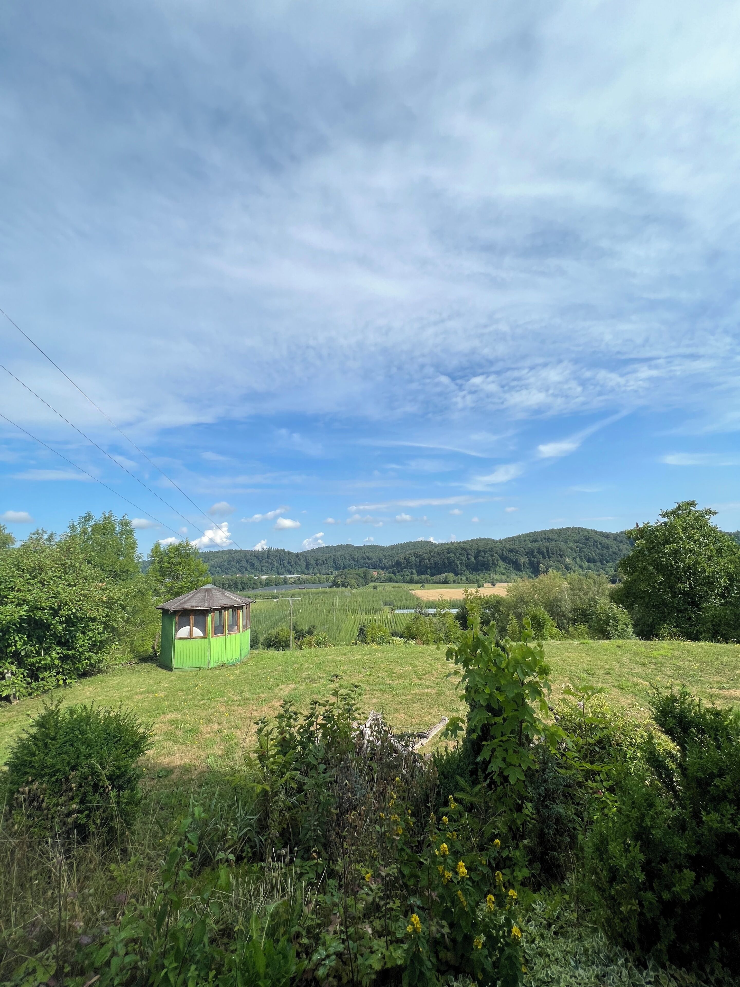 A green wooden structure in a lush green field with a clear sky and distant hills.