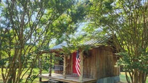 Eine rustikale Holzhütte mit Veranda, umgeben von Bäumen.