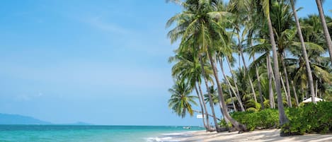 Private beach nearby, white sand, beach umbrellas