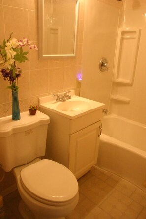 Hair dryer, towels, soap, toilet paper