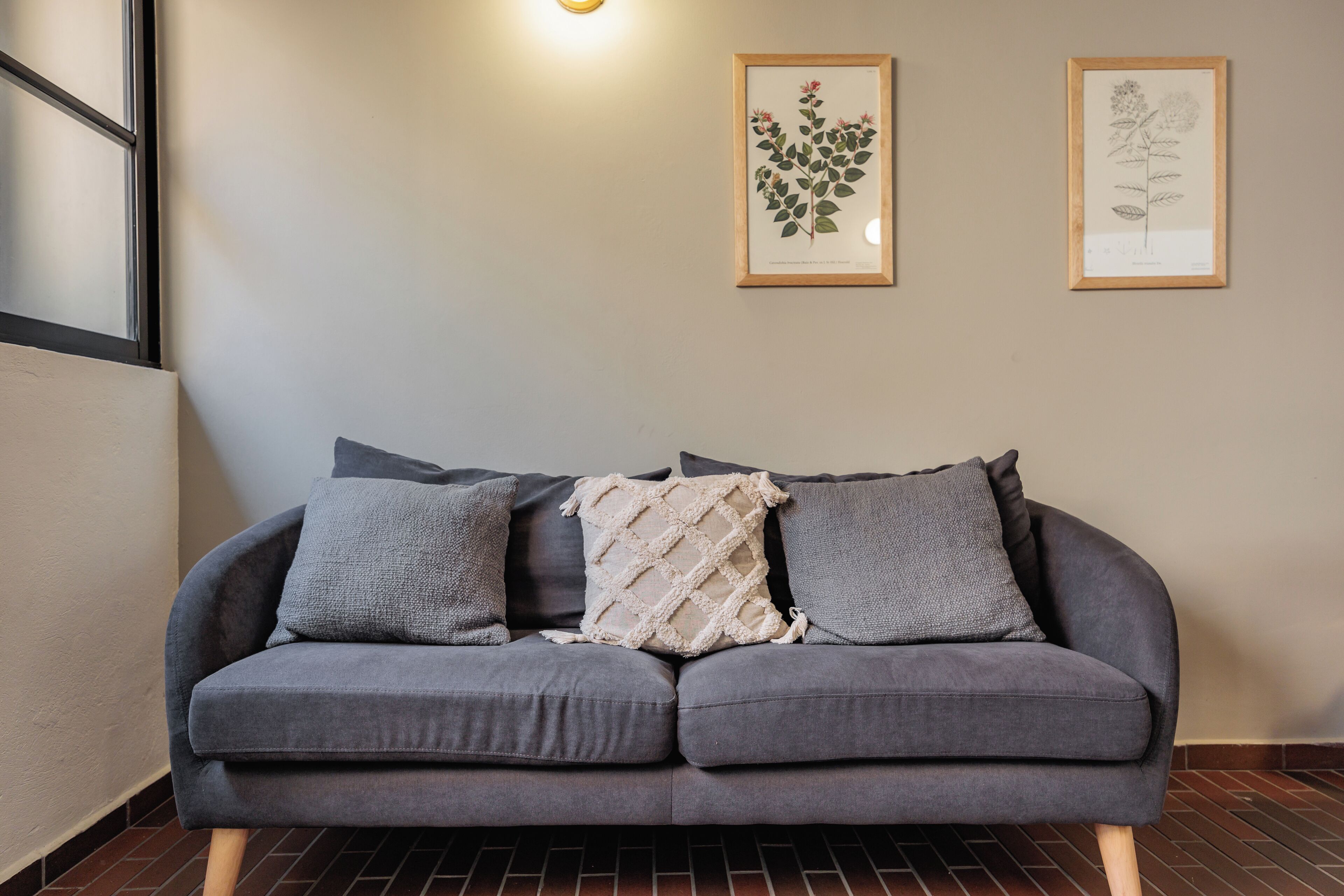 Un canapé gris avec trois coussins, placé contre un mur orné de deux illustrations botaniques encadrées.