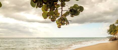 Sun loungers, beach towels