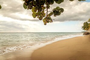 Una playa con arena y un mar tranquilo bajo un cielo nublado.