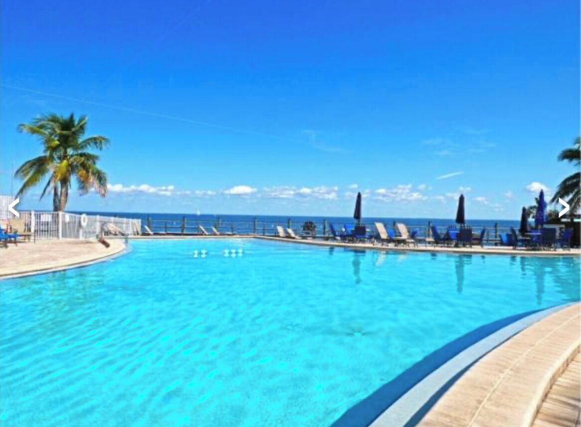 Tropical Waterfront Condo directly on Tampa Bay!