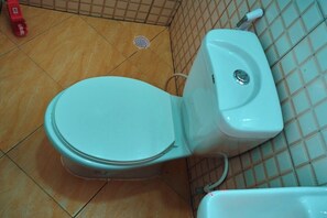 Towels, soap, toilet paper - Perfect Gateway minute walk to a major Hotel (Dar es Salaam)