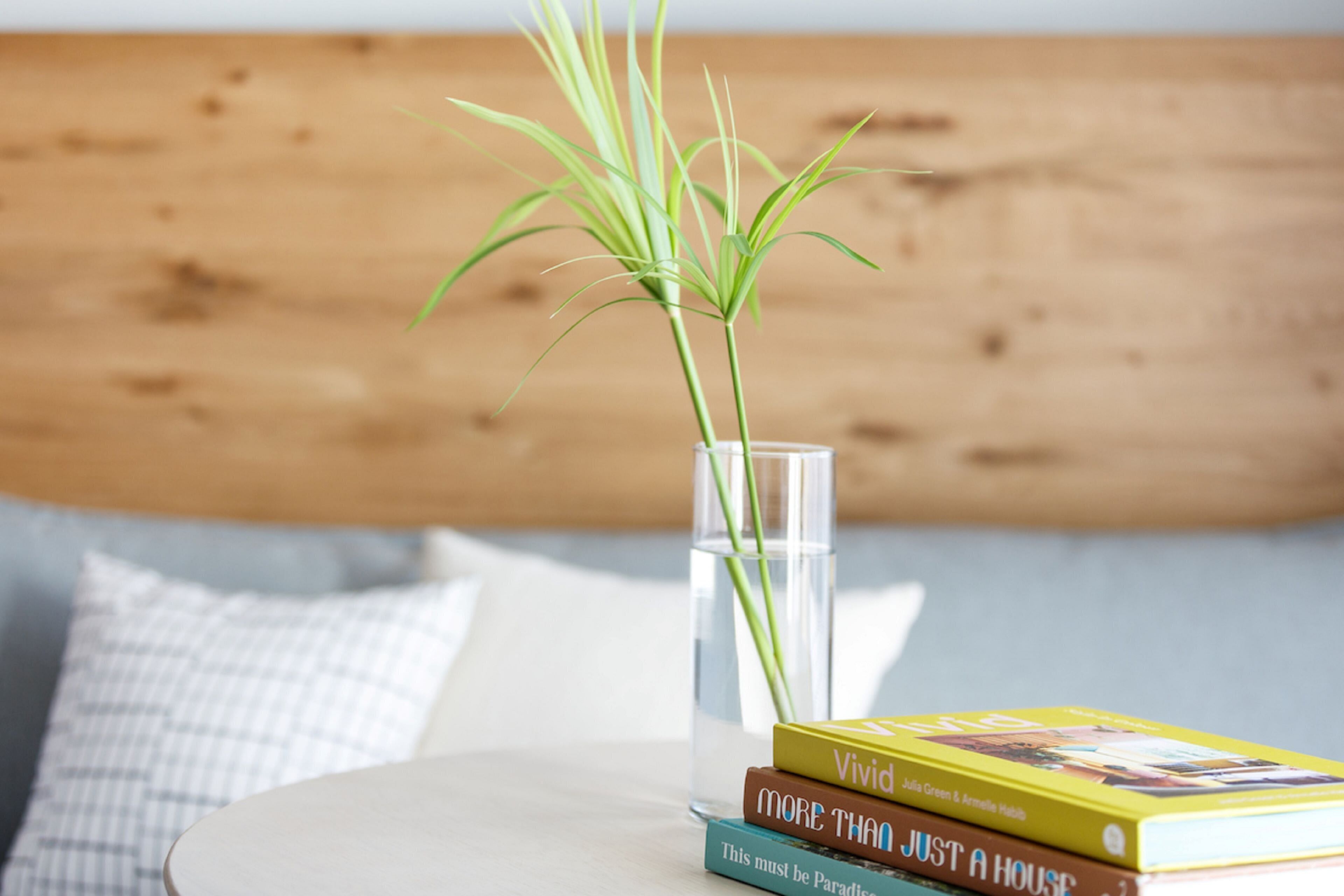 Habitación estándar | Cortinas blackout, tabla de planchar con plancha y wifi gratis 