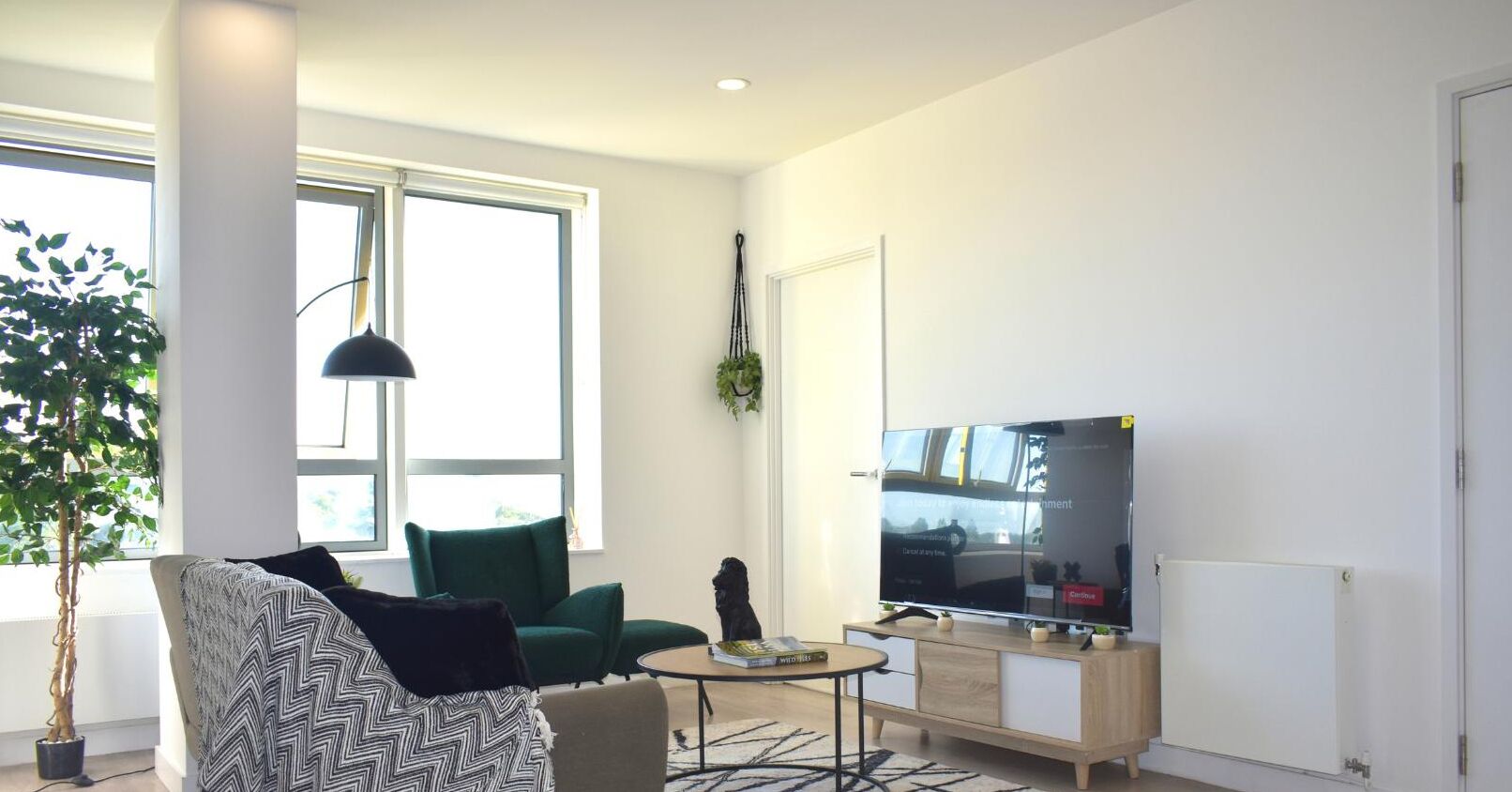 Una televisión, libros