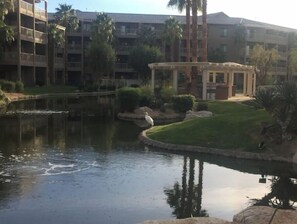 Property grounds - Luxury 2BR Condo for Music Fests (Indio)