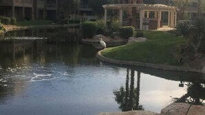 A courtyard with a pond, palm trees, and a building with multiple balconies. - Luxurious 1BR Condo for Coachella Week 2 (Indio)