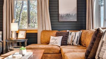 Smart TV, chimenea, reproductor de DVD y libros