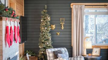 Smart TV, fireplace, DVD player, books