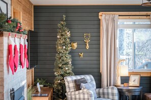 Smart TV, fireplace, DVD player, books