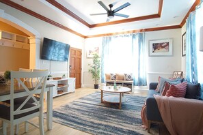 Smart TV, fireplace, books