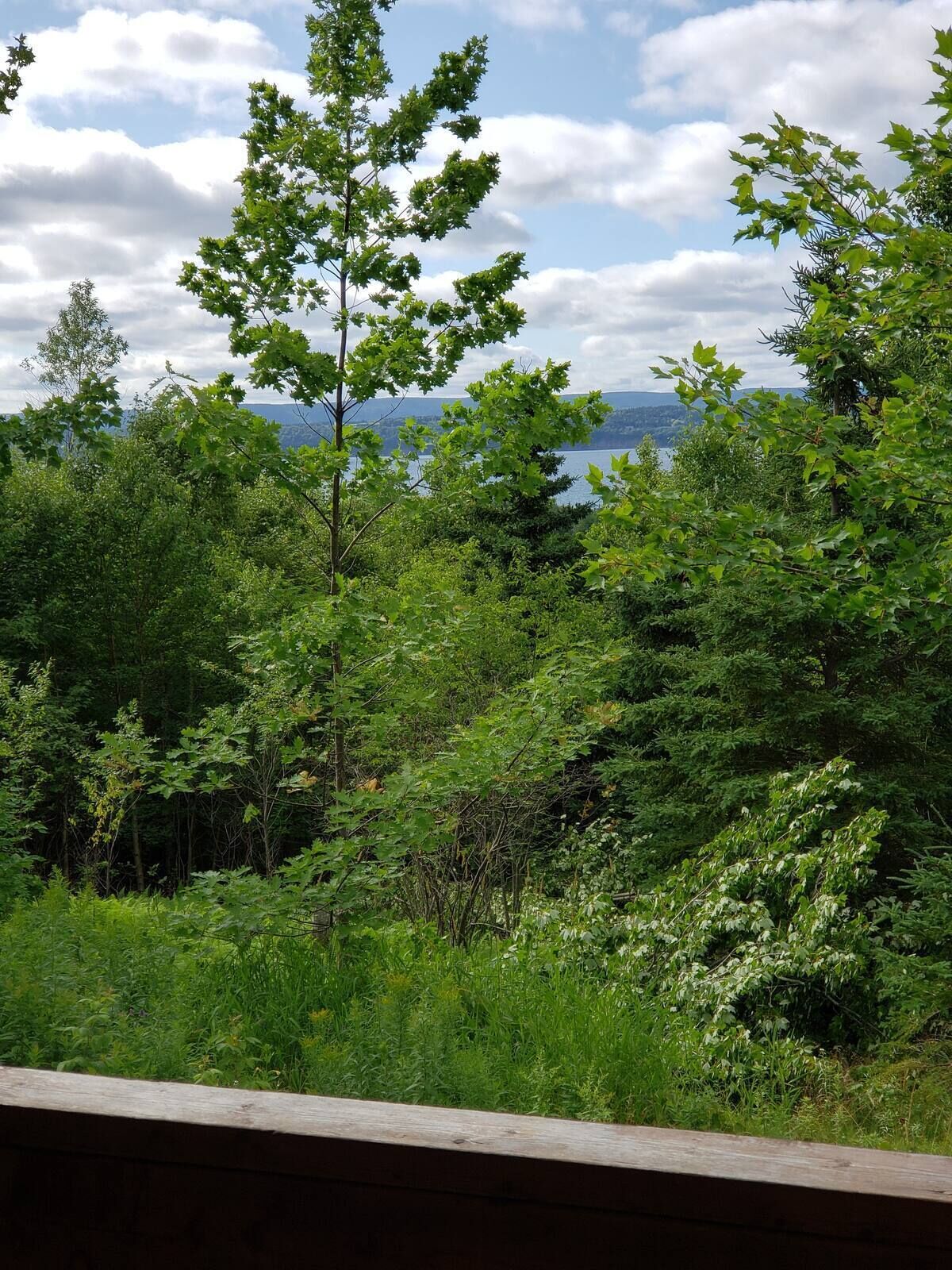 View from property