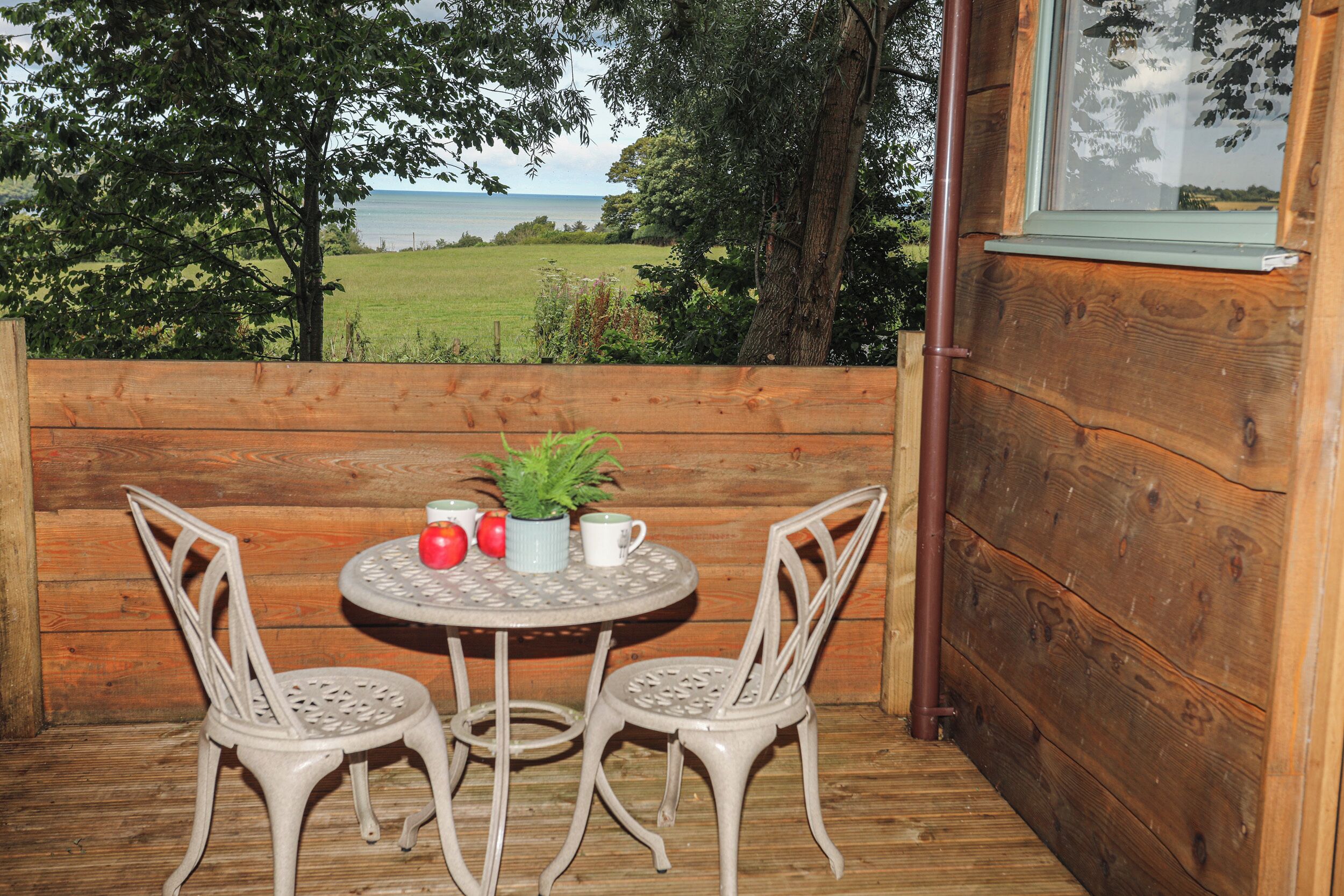 A wooden deck with a round table and two chairs, a potted plant, and a view of a grassy field and water body.
