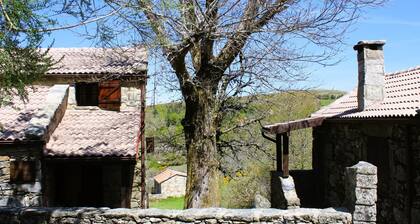 'Casa do Castanheiro' | Nature | Mountain | Trails | Branda da Aveleira