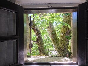 Un umbral abierto que da a un espacio natural al aire libre con árboles y una pared cubierta de musgo.