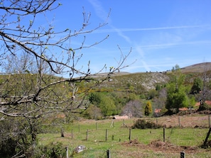 Un paysage rural avec un champ délimité par une clôture, une colline en arrière-plan et un arbre aux branches nues au premier plan.
