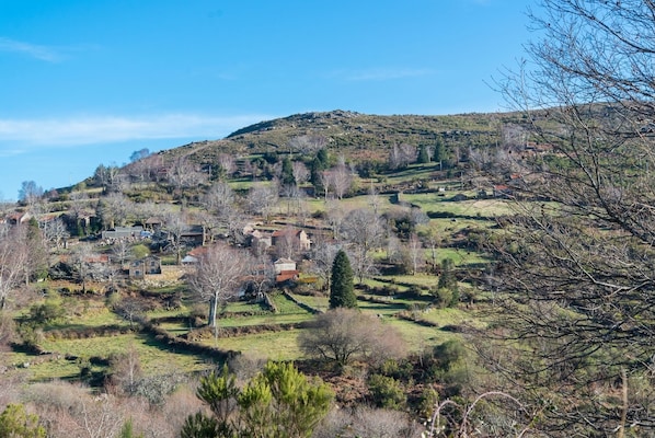 Un paysage rural avec des maisons dispersées sur une colline, entourées d’arbres et de champs ouverts.