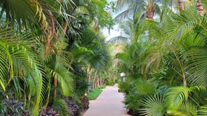A pathway flanked by lush tropical plants and a concrete walkway. - Playa del Carmen (Playa del Carmen)