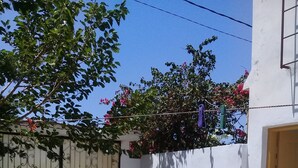 Ein Innenhof mit weißer Mauer, einem Metallgitter und einem Blumentopf.