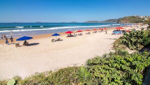A beach with rows of sun umbrellas and lounge chairs, a clear blue sky, and the ocean in the background. - Greenville (Búzios)