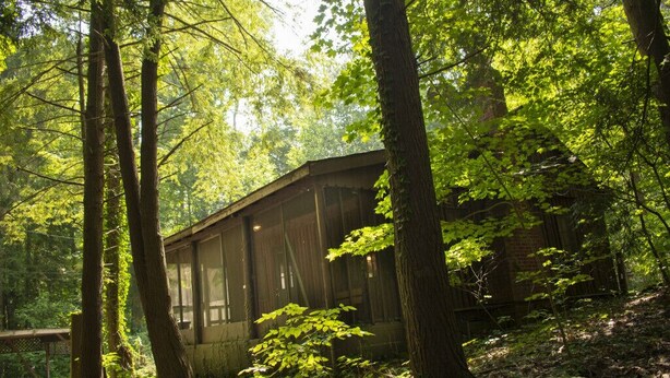 A rustic cabin surrounded by tall trees and dense foliage. - Pine Lake Trout Club Cabin #4!!! (Chagrin Falls)