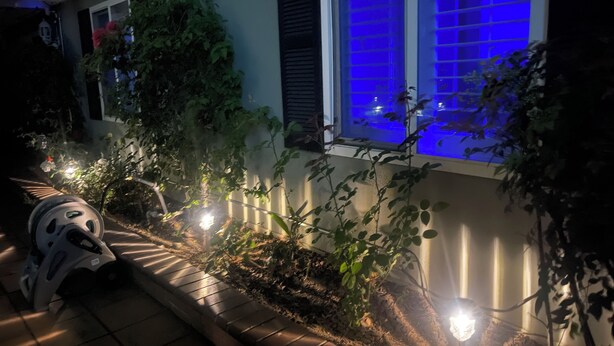 Un chemin bordé de plantes et illuminé de lumières qui mène à une maison dont la fenêtre est éclairée de bleu.