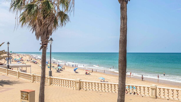 Une plage bordée de palmiers, une promenade dallée et une rambarde.