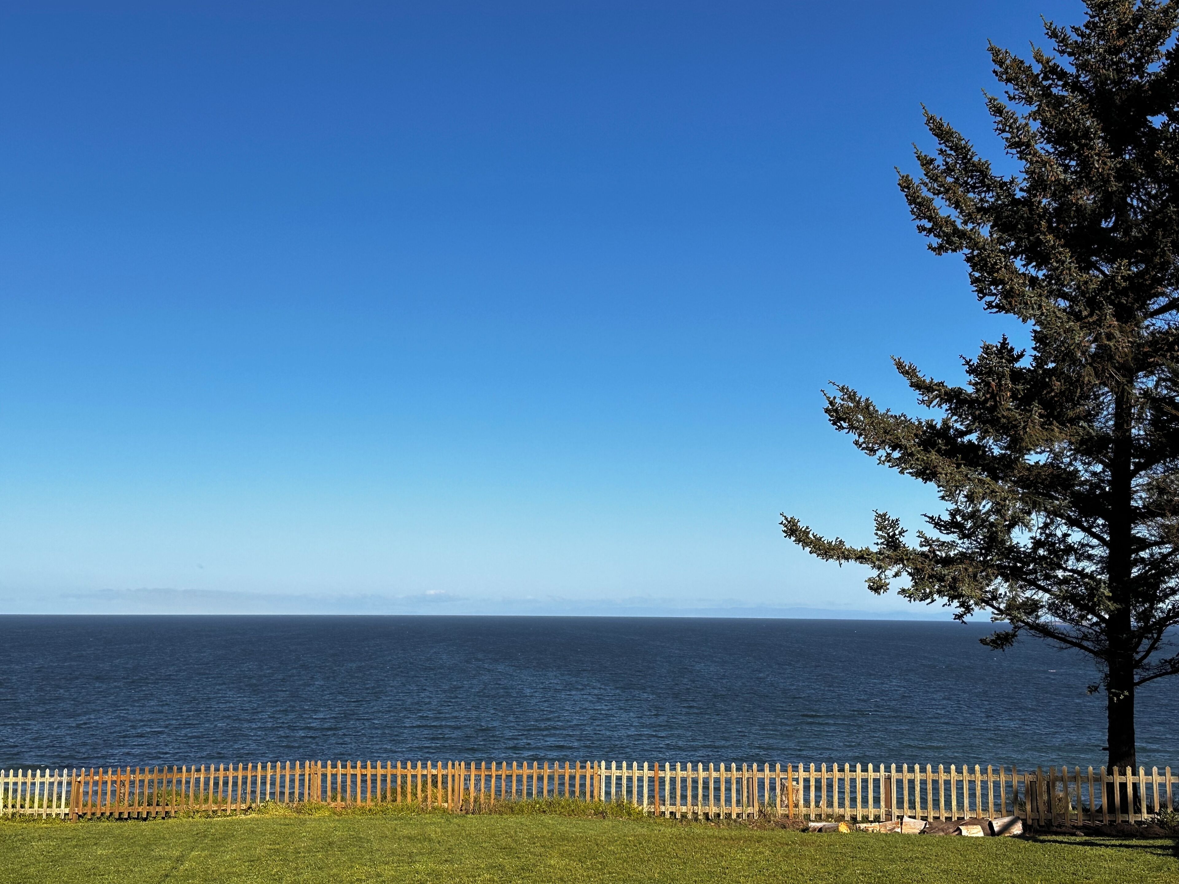 A coastal view with a wooden fence, a tree, and the ocean.