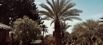Authentic castle in the south of Morocco located in the Palmeraie of Skoura. 